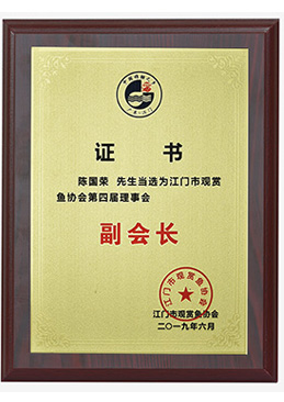 江門市觀賞魚協(xié)會(huì)副會(huì)長單位